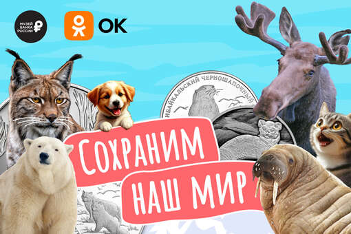Одноклассники и Эрмитаж подготовили проект ко Всемирному дню защиты животных