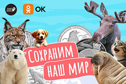 Одноклассники и Эрмитаж подготовили проект ко Всемирному дню защиты животных