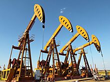 Новак призвал страны G20 к совместным действиям по стабилизации рынка нефти
