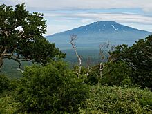 Появились подробности исчезновения 10 туристов на Сахалине