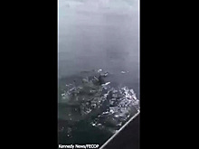 Акула-молот вырвала улов и попала на видео