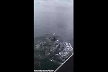 Акула-молот вырвала улов и попала на видео
