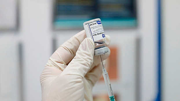 Парагвай получит первую партию российской вакцины «Спутник V» 18 февраля