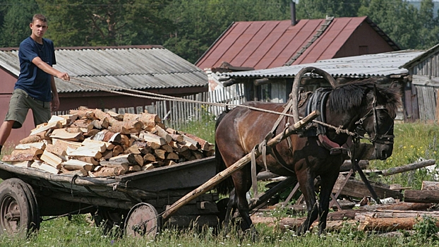 Американец объяснил, почему влюблен в русские деревни
