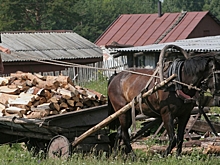 Американец объяснил, почему влюблен в русские деревни