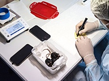 Зародиться в космосе: Какие эксперименты проводят ученые на орбите