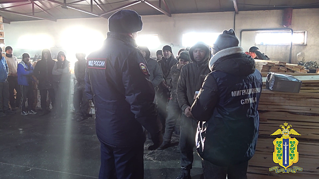Липецкие полицейские в ходе проверки двух лесопилок выявили 21 нарушение миграционного законодательства
