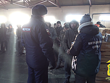 Липецкие полицейские в ходе проверки двух лесопилок выявили 21 нарушение миграционного законодательства