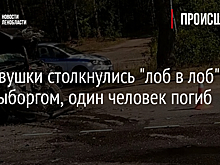 Легковушки столкнулись "лоб в лоб" под Выборгом, один человек погиб