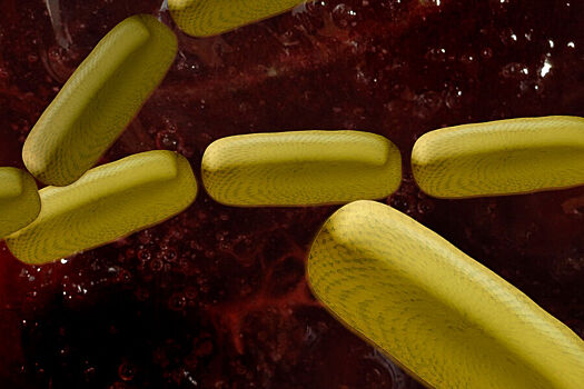 Ученые нашли «ахиллесову пяту» у устойчивой к антибиотикам сальмонеллы