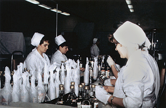 Заменители продуктов и материалов: Главархив рассказал о работе химиков в 1942 году