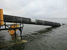 В Германии допустили согласование подрыва «Северных потоков» с правительством ФРГ