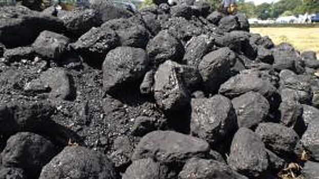 Новые угольные порты в Приморье должны обеспечивать экологическую безопасность