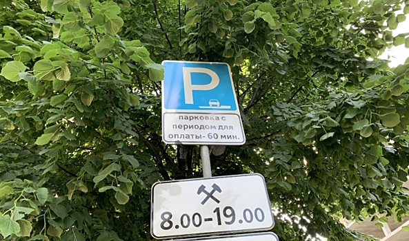 Воронежцы не смогли обжаловать в суде штрафы за неоплату парковки