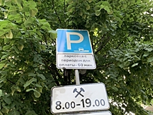 Воронежцы не смогли обжаловать в суде штрафы за неоплату парковки