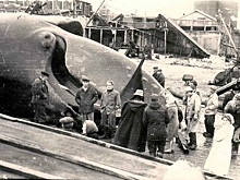 Какой город исчез на Курилах ночь 5 ноября 1952 года