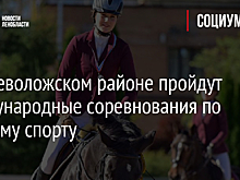 Во Всеволожском районе пройдут международные соревнования по конному спорту