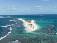 «Флориду затопит точно»