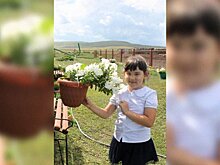 Возможно ли индивидуальное обучение в обычной школе? Да, если эта школа в Хакасии