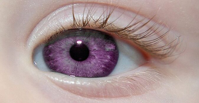 Фиолетовый цвет глаз: что известно о загадочной и прекрасной мутации человека?