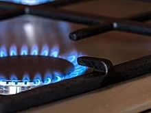 Раменчанам рассказали о помощи на приобретение газовых котлов и плит