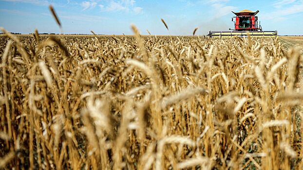Бразилия возобновила закупки российской пшеницы