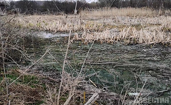 Курские активисты борются с загрязнением посёлка Косиново канализационными стоками