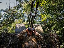 Рогов сообщил об обстреле Токмака со стороны ВСУ