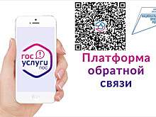 Предприниматели решают проблемы через платформу обратной связи для бизнеса
