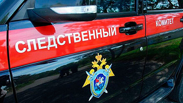 СК проверит сообщения об избивавшем детей скакалкой учителе в Архангельской области