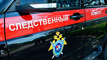 СК проверит сообщения об избивавшем детей скакалкой учителе в Архангельской области