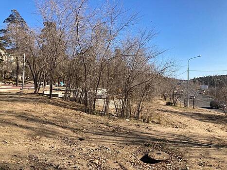 Жители Читы предложили построить парковку рядом с Гагаринским парком