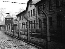 Историки раскрыли, через что пришлось прийти жителям Карелии в финской оккупации: «Лишние люди»