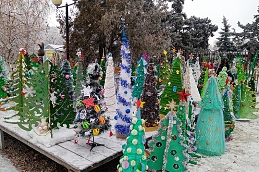 Выставка елок открылась для волгоградцев в сквере Маргариты Агашиной