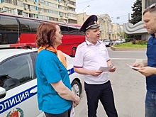 Волгоградцев призвали снижать скорость перед пешеходными переходами