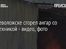 Во Всеволожске сгорел ангар со спецтехникой - видео, фото