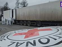 Появились кадры обмена России и Украины телами военнослужащих