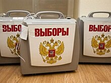 Избирательный участок впервые организуют для рабочих Быстринского ГОКа в Забайкалье