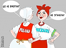 Зачем Кравчук хочет сковать маневренность Польши на украинском направлении