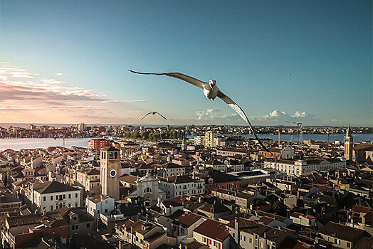 В Италии объявили победителей конкурса снимков с дронов Drone Awards: фотогалерея