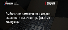 Выборгские таможенники изъяли около пяти тысяч контрафактных хлопушек