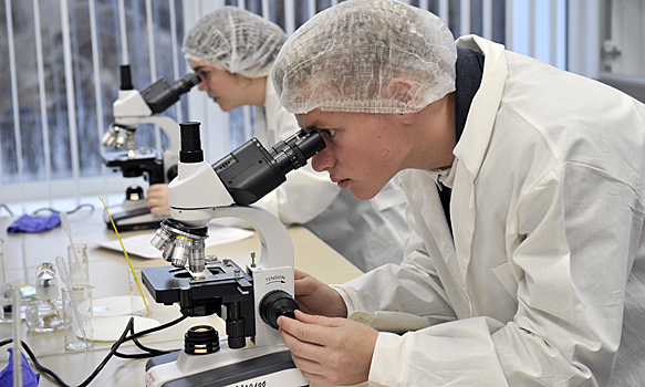 Обнаружено первое не нуждающееся в кислороде животное