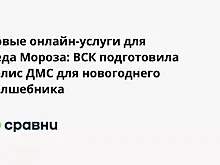 Новые онлайн-услуги для Деда Мороза: ВСК подготовила полис ДМС для новогоднего волшебника
