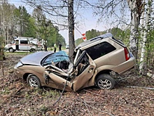 В Челябинской области иномарка протаранила дерево, водитель погиб