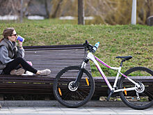 Синоптик рассказала, когда наступит климатическая весна в Москве