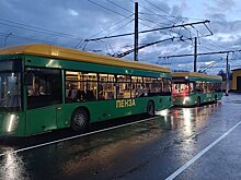 В Засечном заработало троллейбусное депо