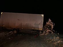Один человек погиб в результате столкновения двух грузовиков в Канском районе
