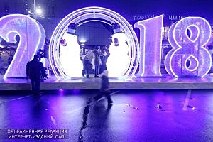 Жители района смогут отметить Новый год на праздничных мероприятиях в Царицыно