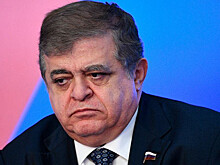 В Совфеде назвали друзей России по «Большой двадцатке»