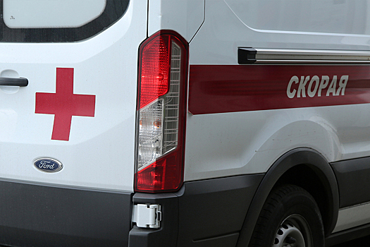 Крымская поэтесса Елена Осминкина госпитализирована после аварии в Москве